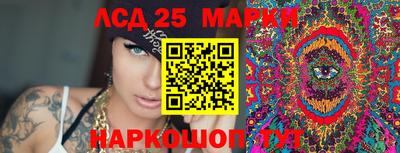 гидропоника Гатчина