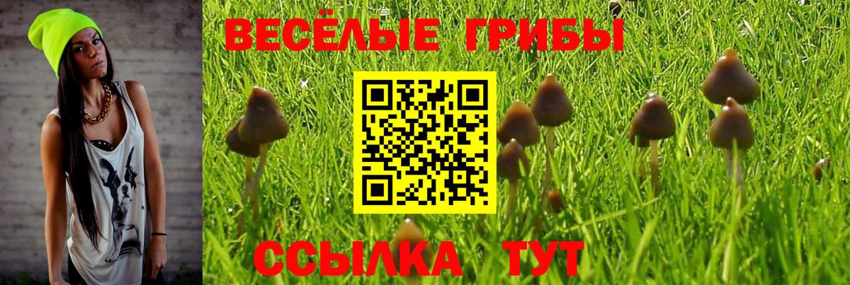 Ржев  Галлюциногенные грибы Psilocybine cubensis  Галлюциногенные грибы мицелий  Вход с VPN 